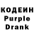 Кодеиновый сироп Lean Purple Drank purrnesian parrapio