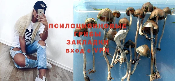 СК Арсеньев