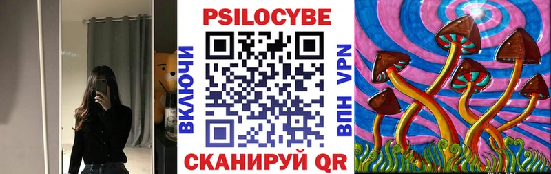 где можно купить наркотик  Порхов  Псилоцибиновые грибы Psilocybe 